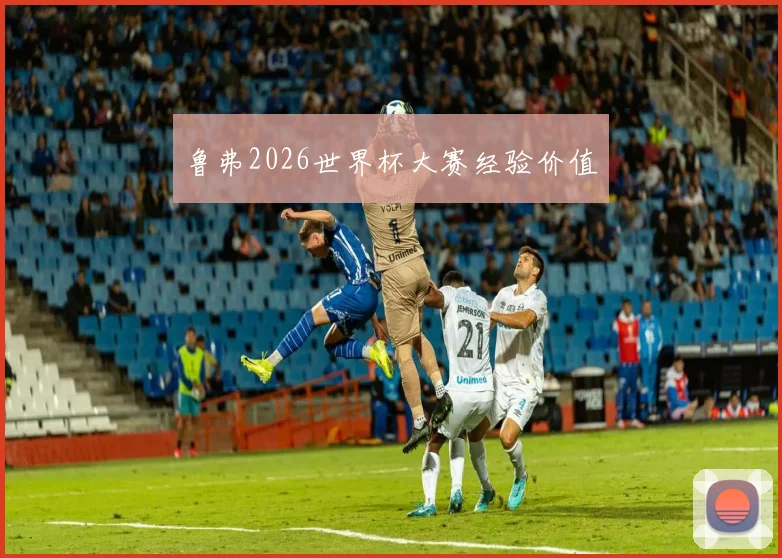 鲁弗2026世界杯大赛经验价值