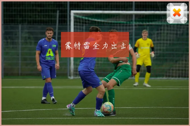 蒙特雷全力出击