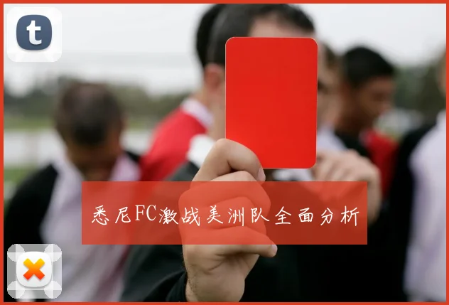 悉尼FC激战美洲队全面分析