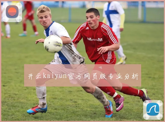 开云kaiyun官方网页版专业分析
