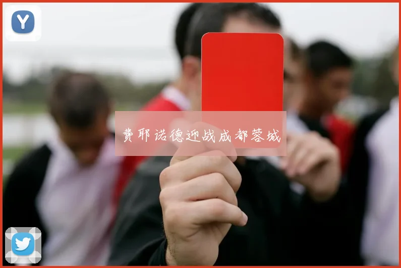 费耶诺德迎战成都蓉城