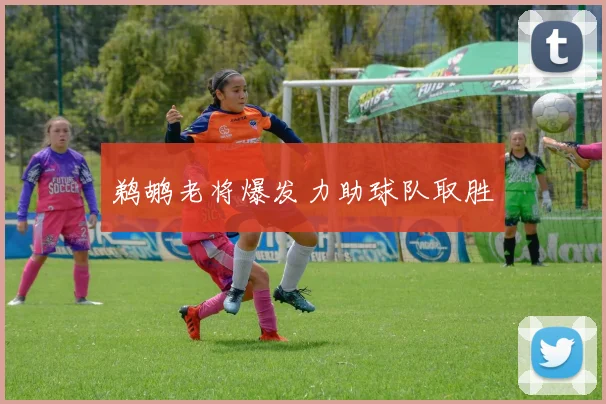 鹈鹕老将爆发力助球队取胜
