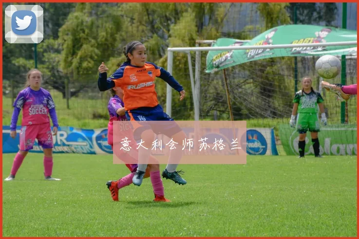 意大利会师苏格兰