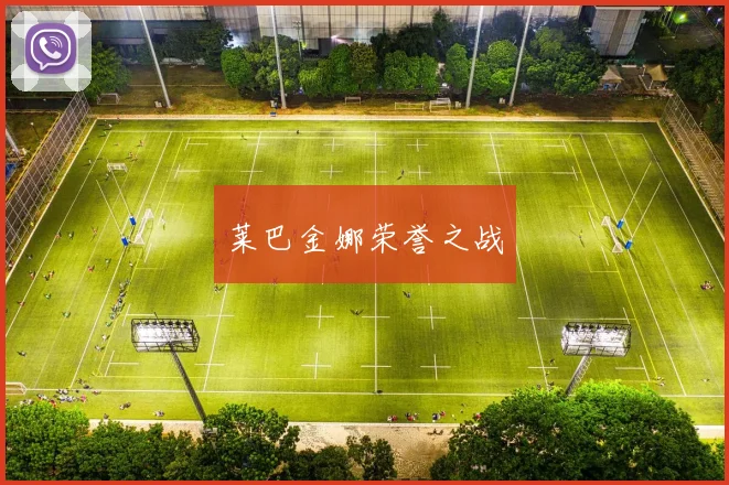 莱巴金娜荣誉之战