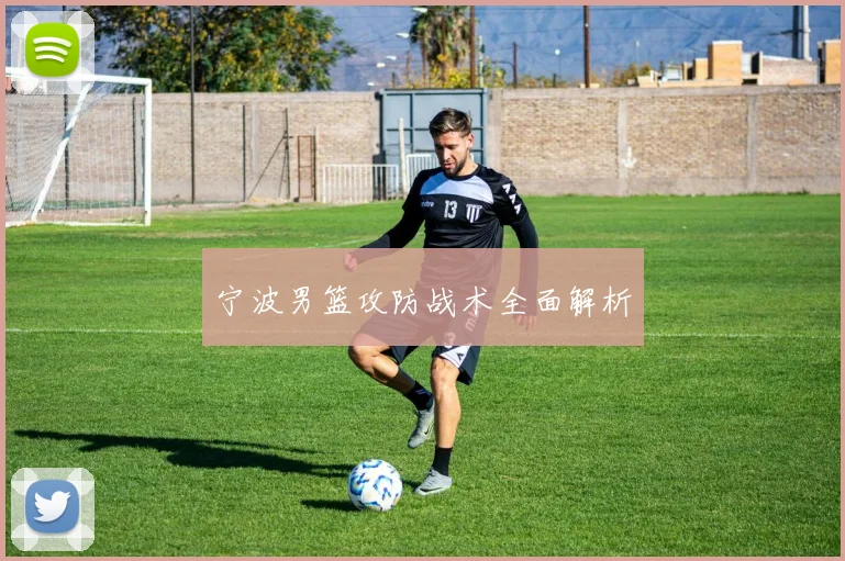 宁波男篮攻防战术全面解析