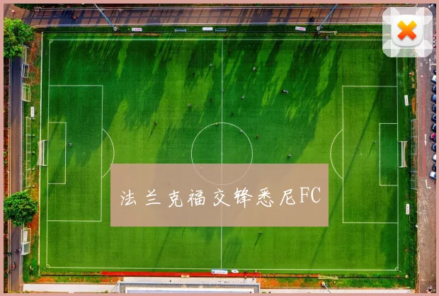 法兰克福交锋悉尼FC