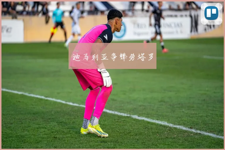 迪马利亚争锋劳塔罗