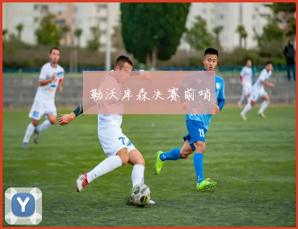 勒沃库森决赛前哨