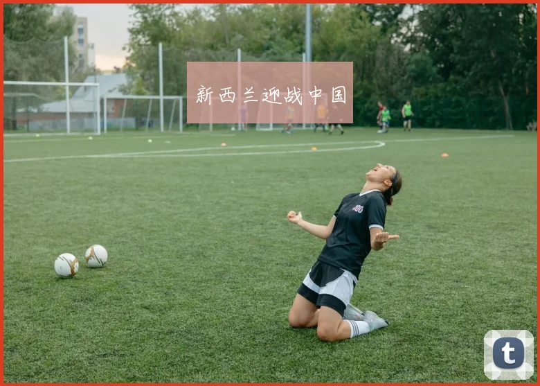 新西兰迎战中国