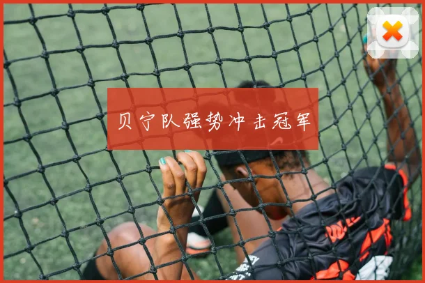 贝宁队强势冲击冠军