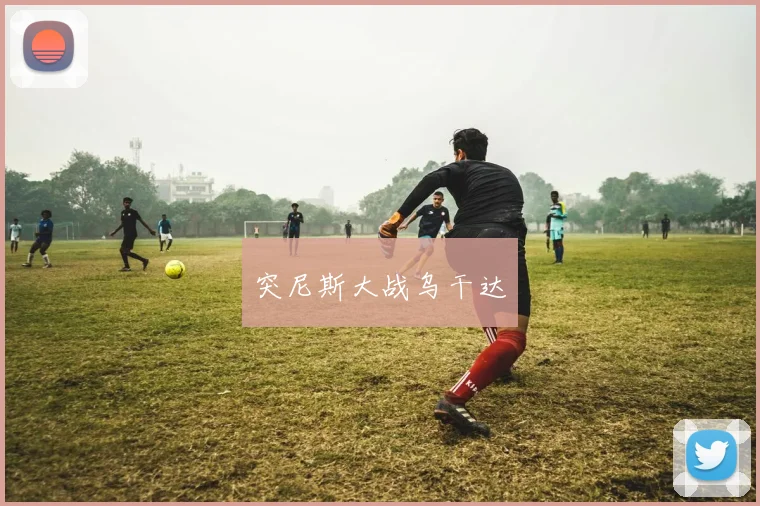 突尼斯大战乌干达