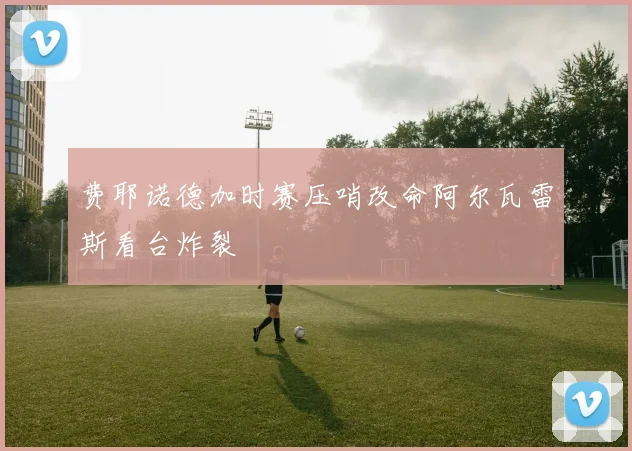 费耶诺德加时赛压哨改命阿尔瓦雷斯看台炸裂