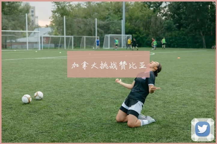 加拿大挑战赞比亚