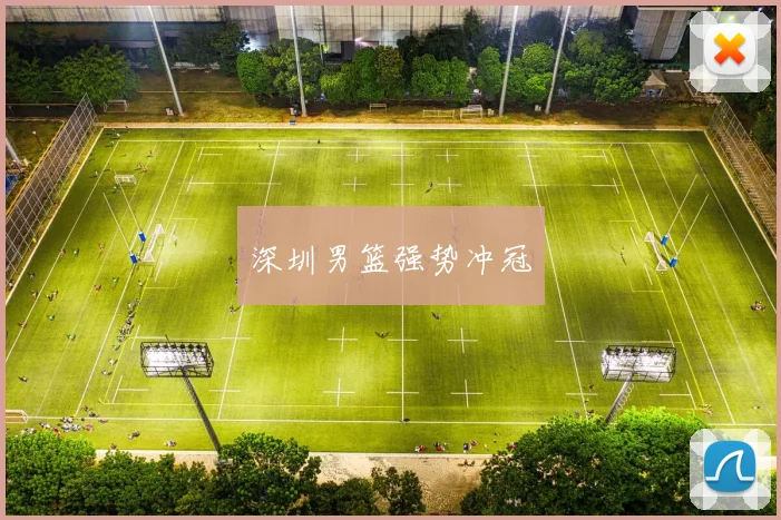深圳男篮强势冲冠