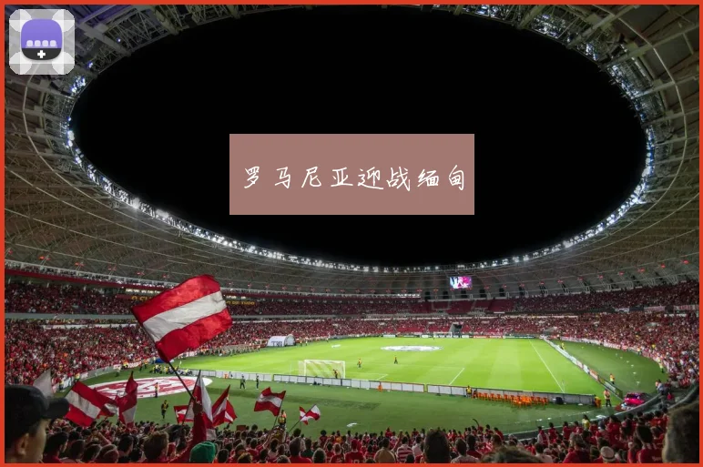 罗马尼亚迎战缅甸