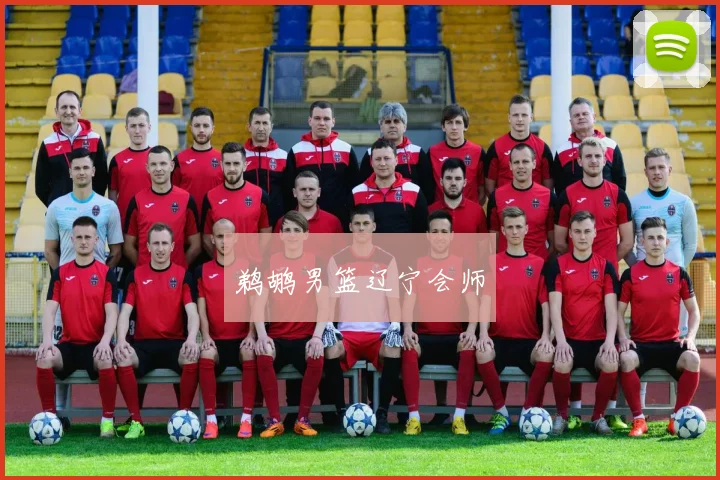 鹈鹕男篮辽宁会师