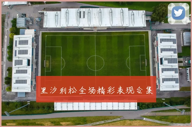 里沙利松全场精彩表现合集