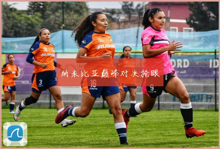 纳米比亚巅峰对决抢眼