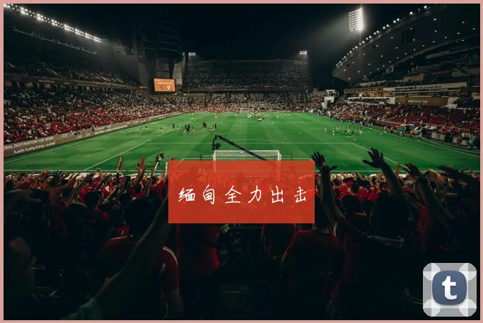缅甸全力出击