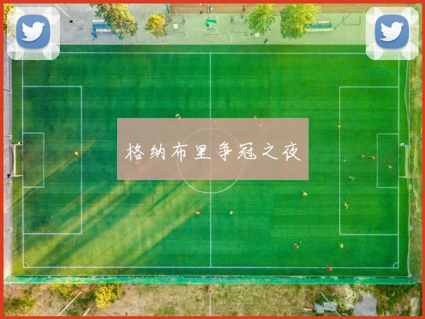 格纳布里争冠之夜