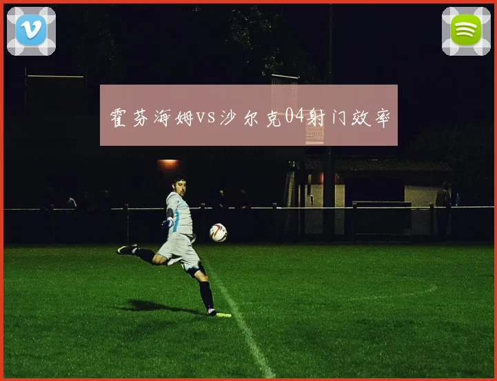 霍芬海姆vs沙尔克04射门效率
